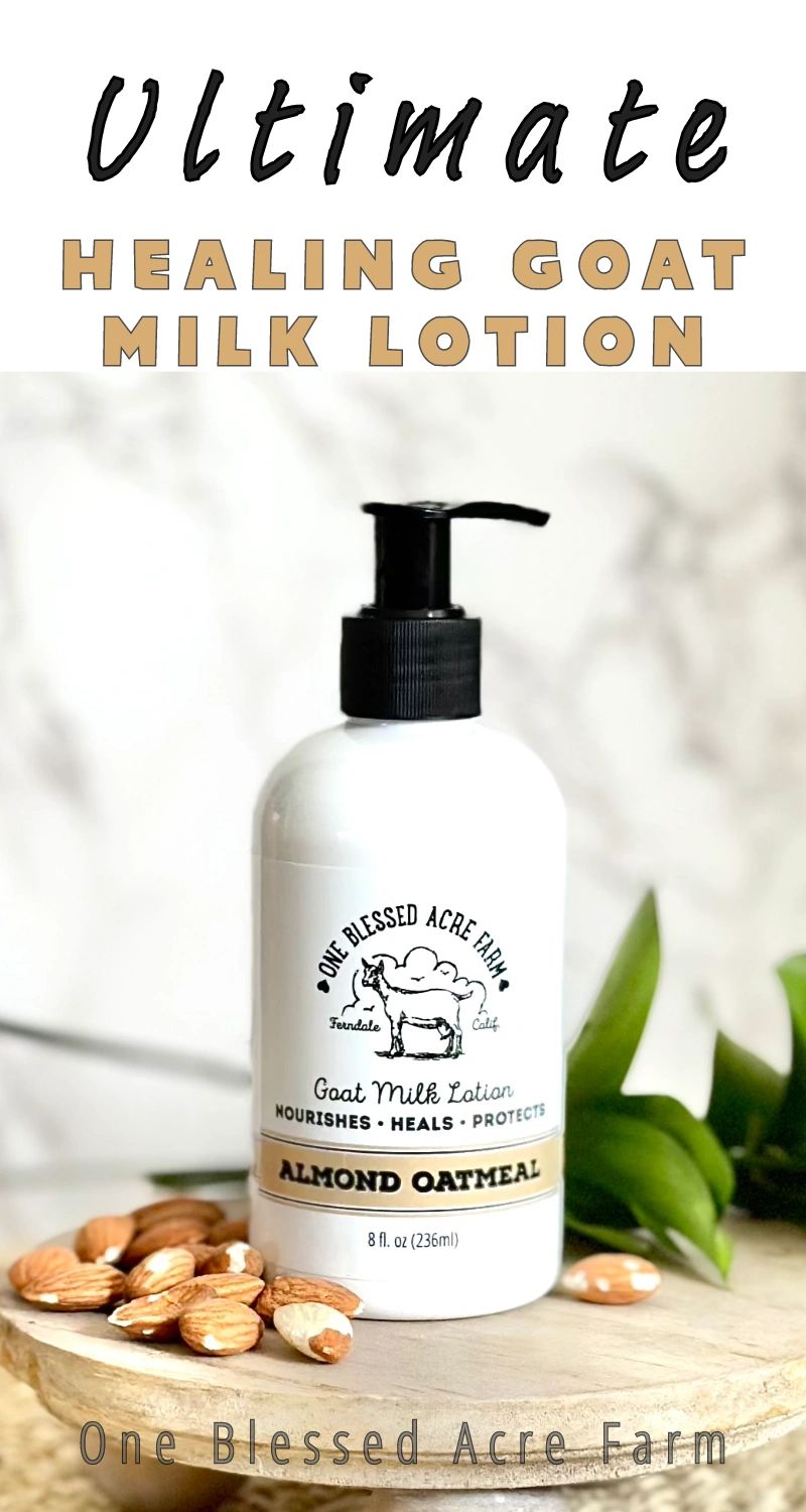 Almond Oatmeal Goat Milk Lotion, Hand Cream Body Lotion, One Blessed Acre farm
