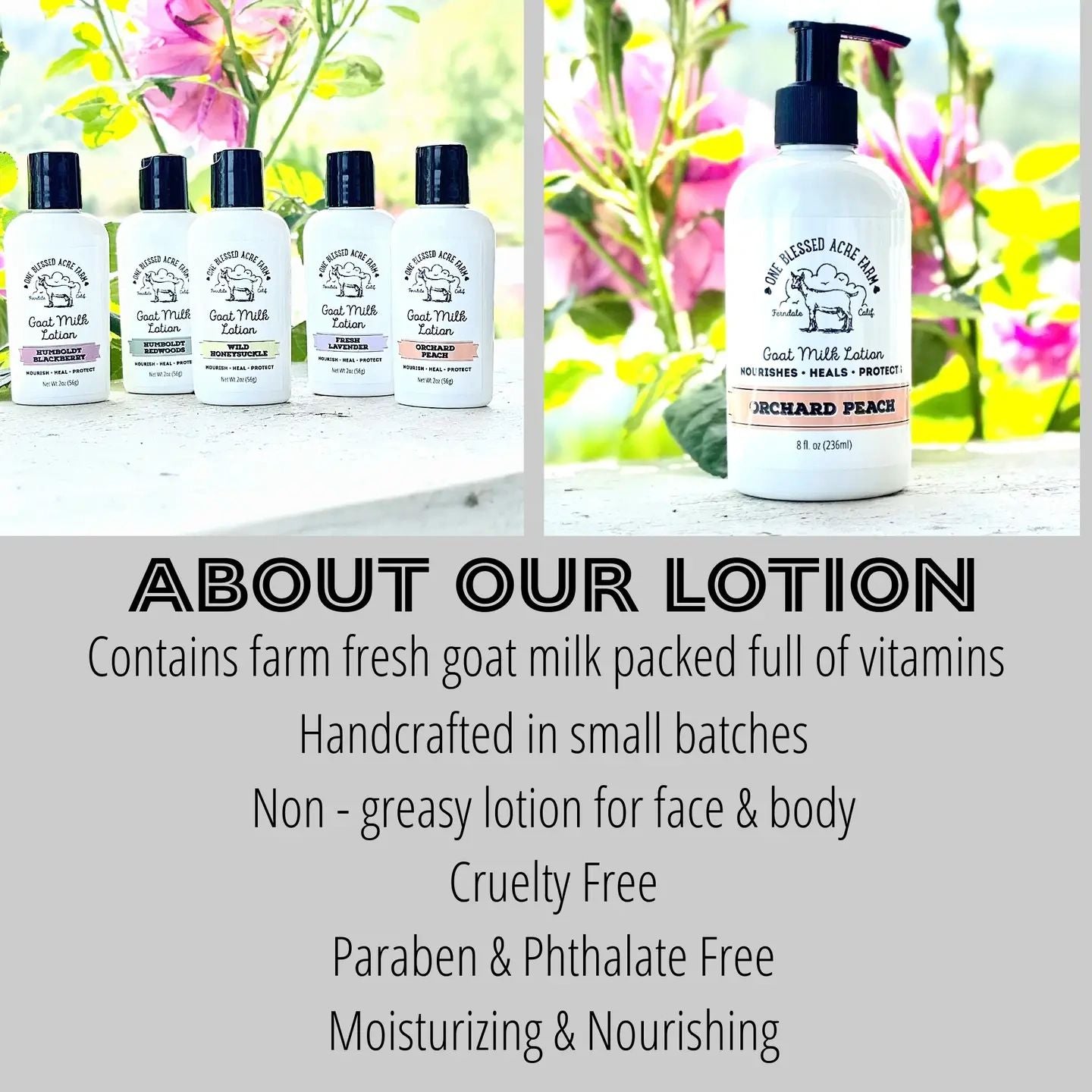 Unscented Baby Skin Care Goat Milk Lotion