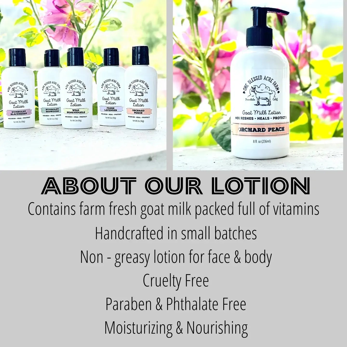 Vanilla Creme Goat Milk Lotion, Hand Cream Body Lotion
