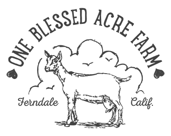 Unscented Baby Skin Care Goat Milk Lotion